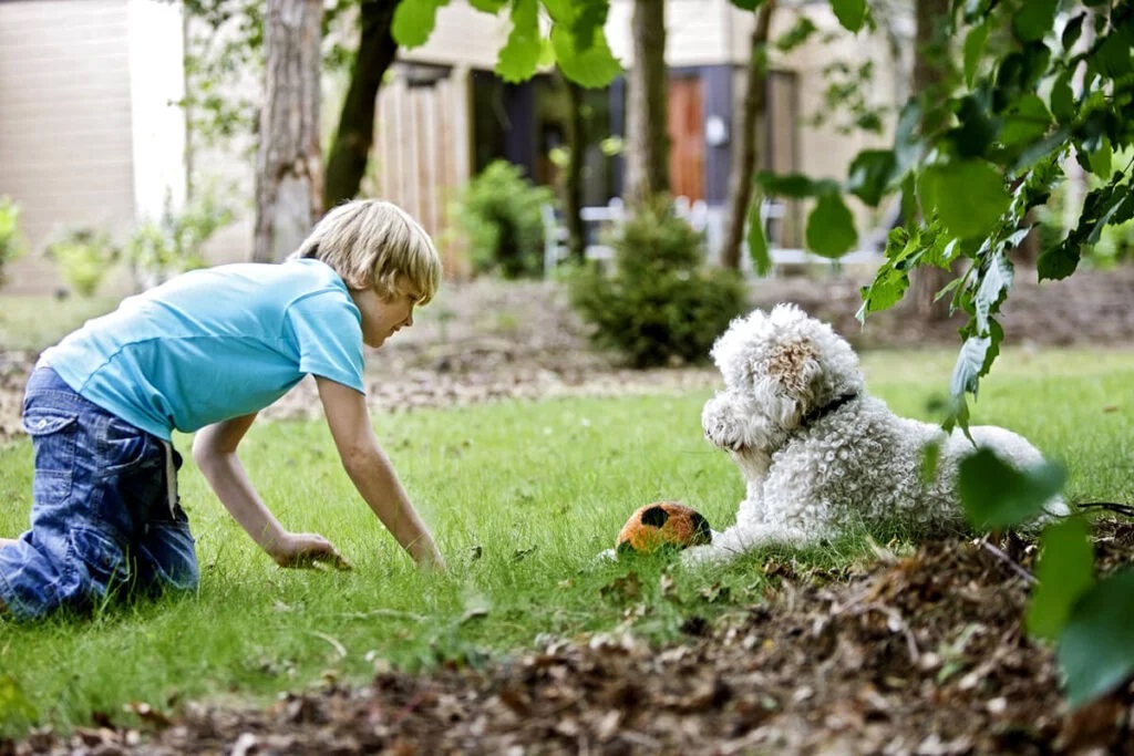 7 Huisdiervriendelijke Center Parcs Waar Je Hond óók Welkom is